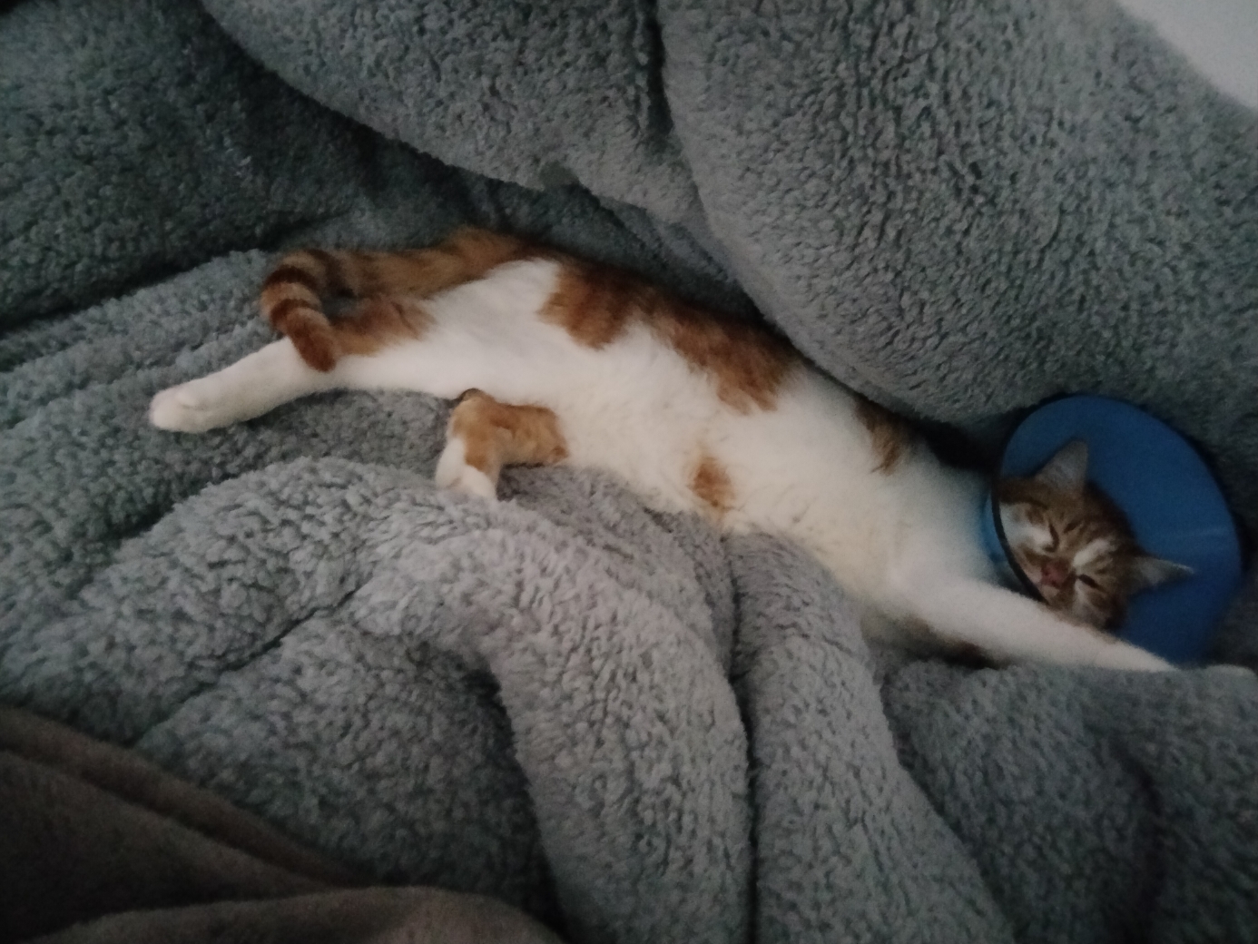 Eggy finds refuge. 