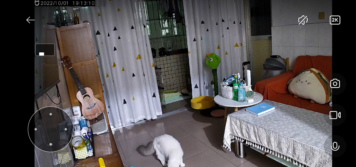 ShenzhenFutianSubletLong TermLong & Short TermPet Friendly