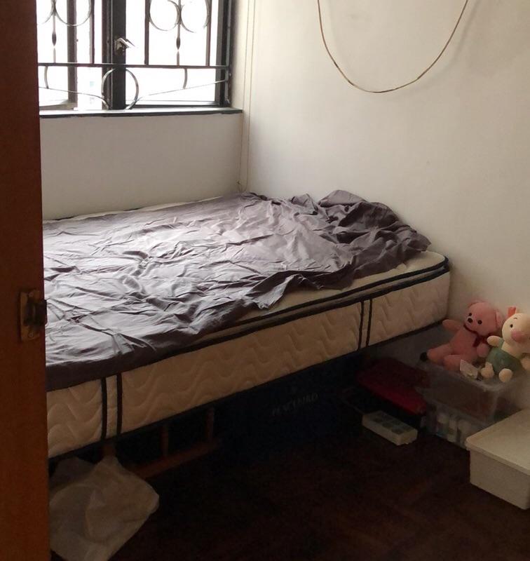 Shenzhen-Futian-👯‍♀️,Seeking Flatmate,Pet Friendly,Shared Apartment