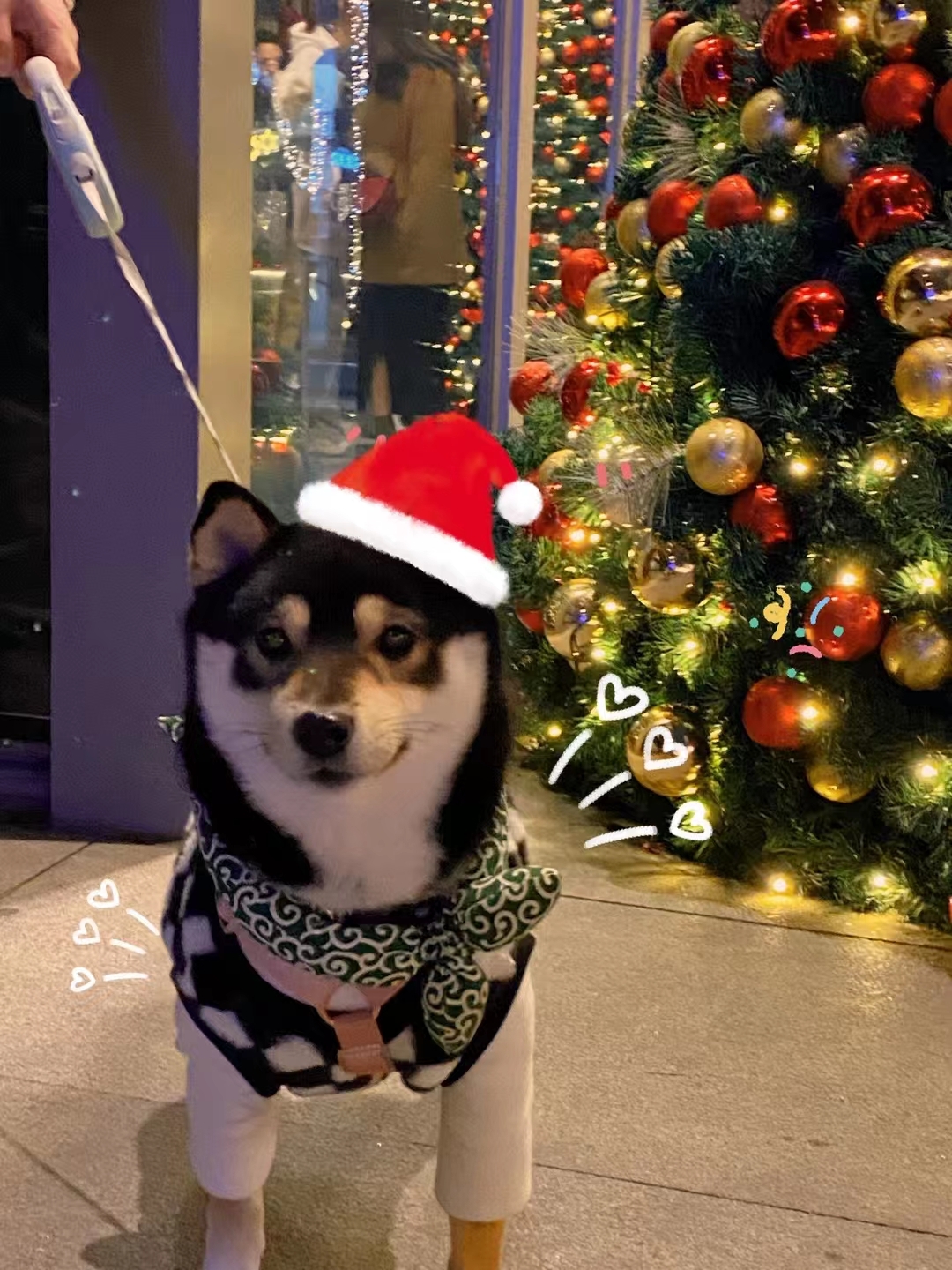 Merry Christmas！