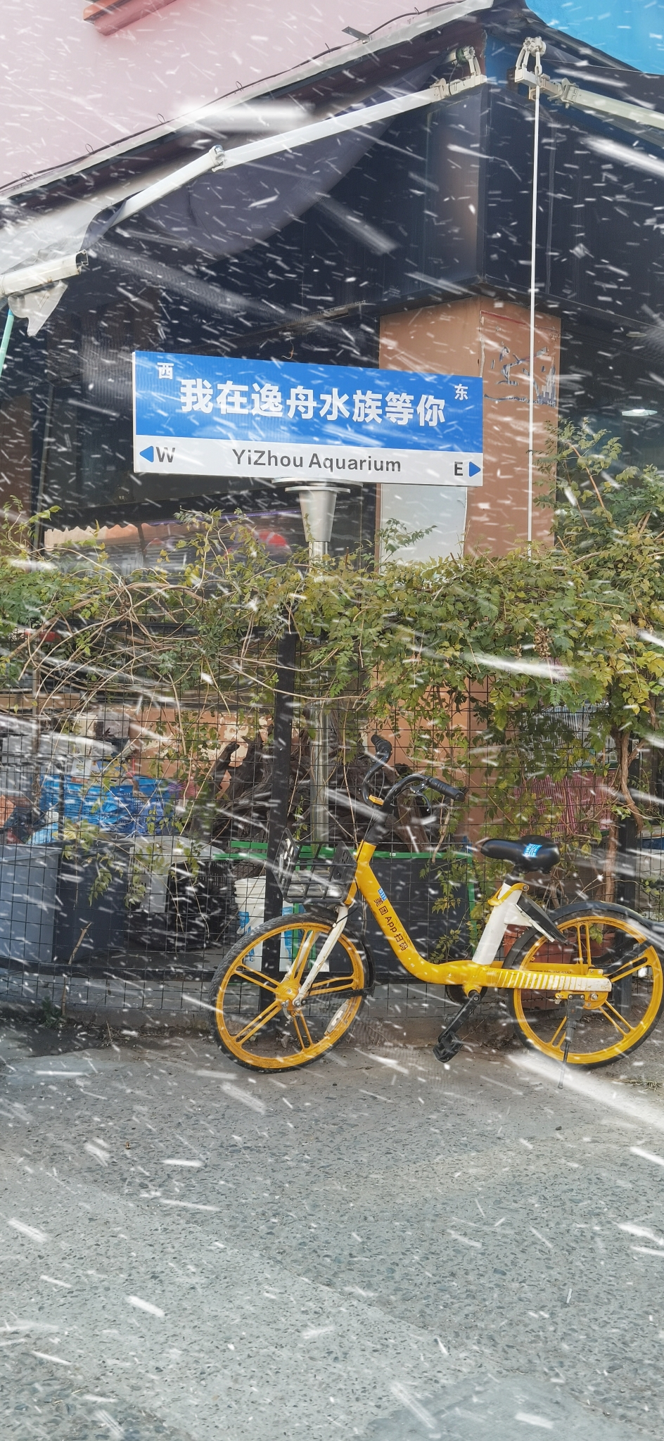 有趣的标题，有趣的图片，有趣的灵魂，能推