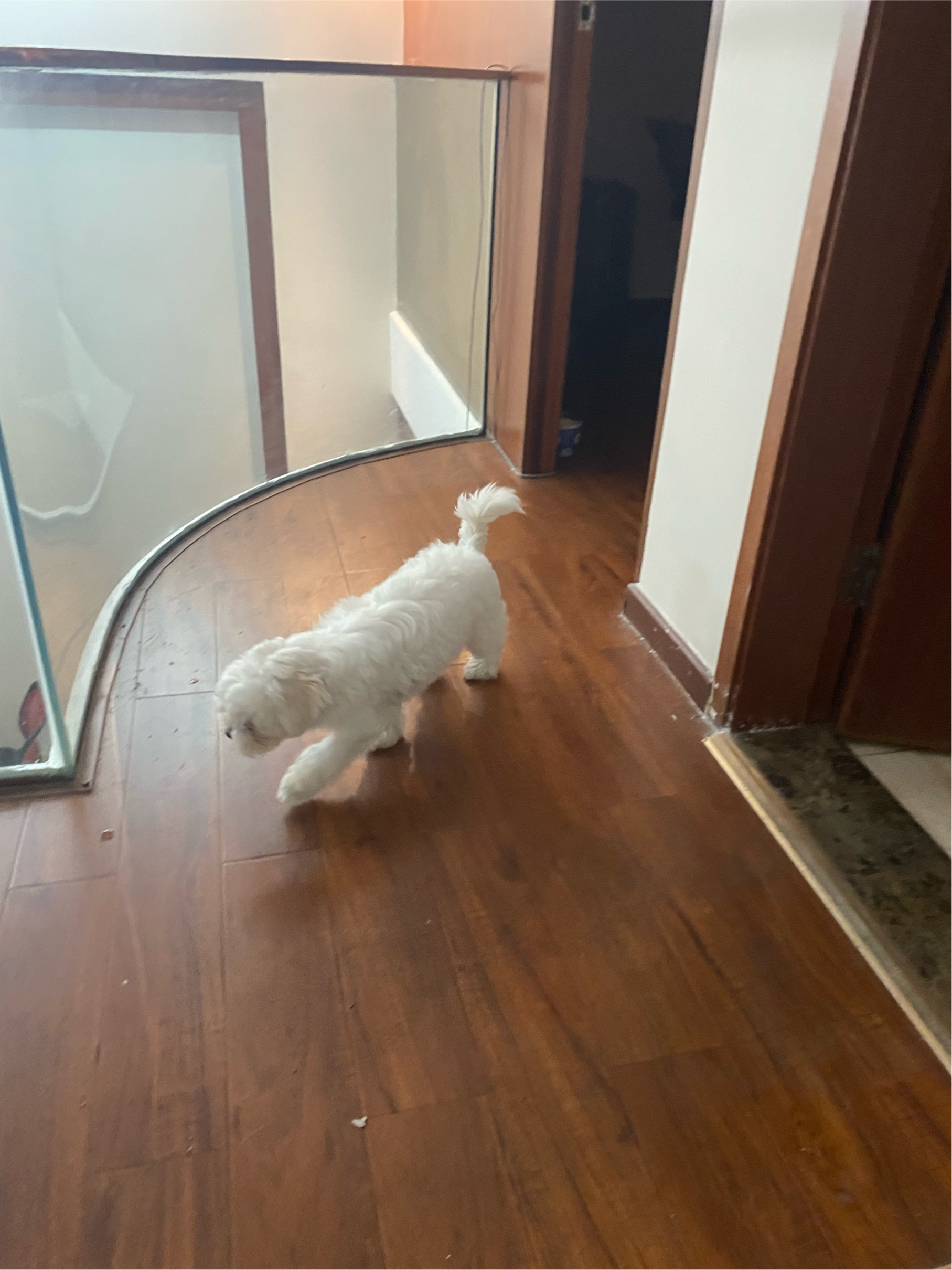 Guangzhou-Tianhe-Long Term,Sublet,Replacement,Single Apartment,LGBTQ Friendly,Long & Short Term