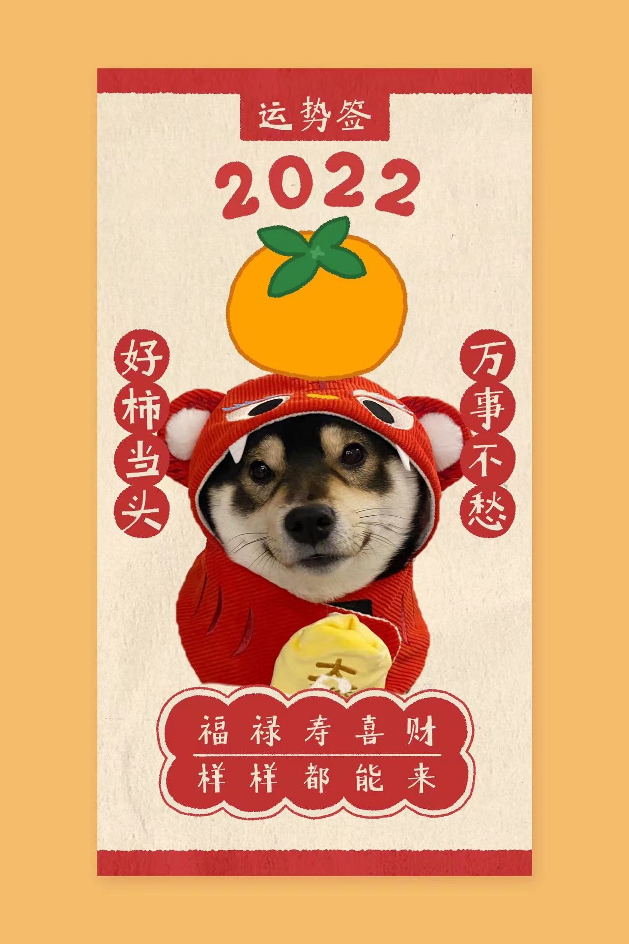 新年快乐 Roommate  Soc