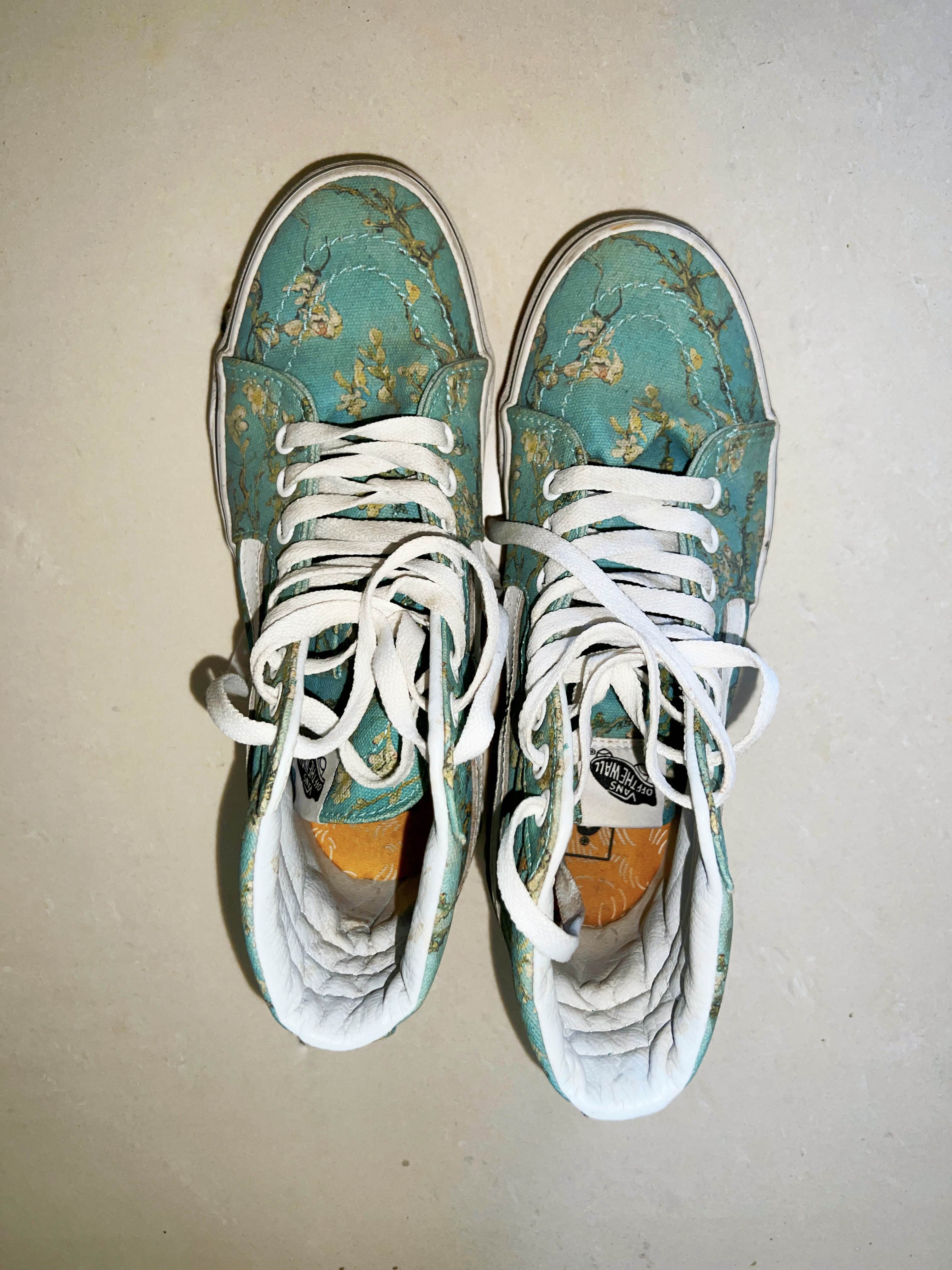 Van gogh hotsell sk8 hi