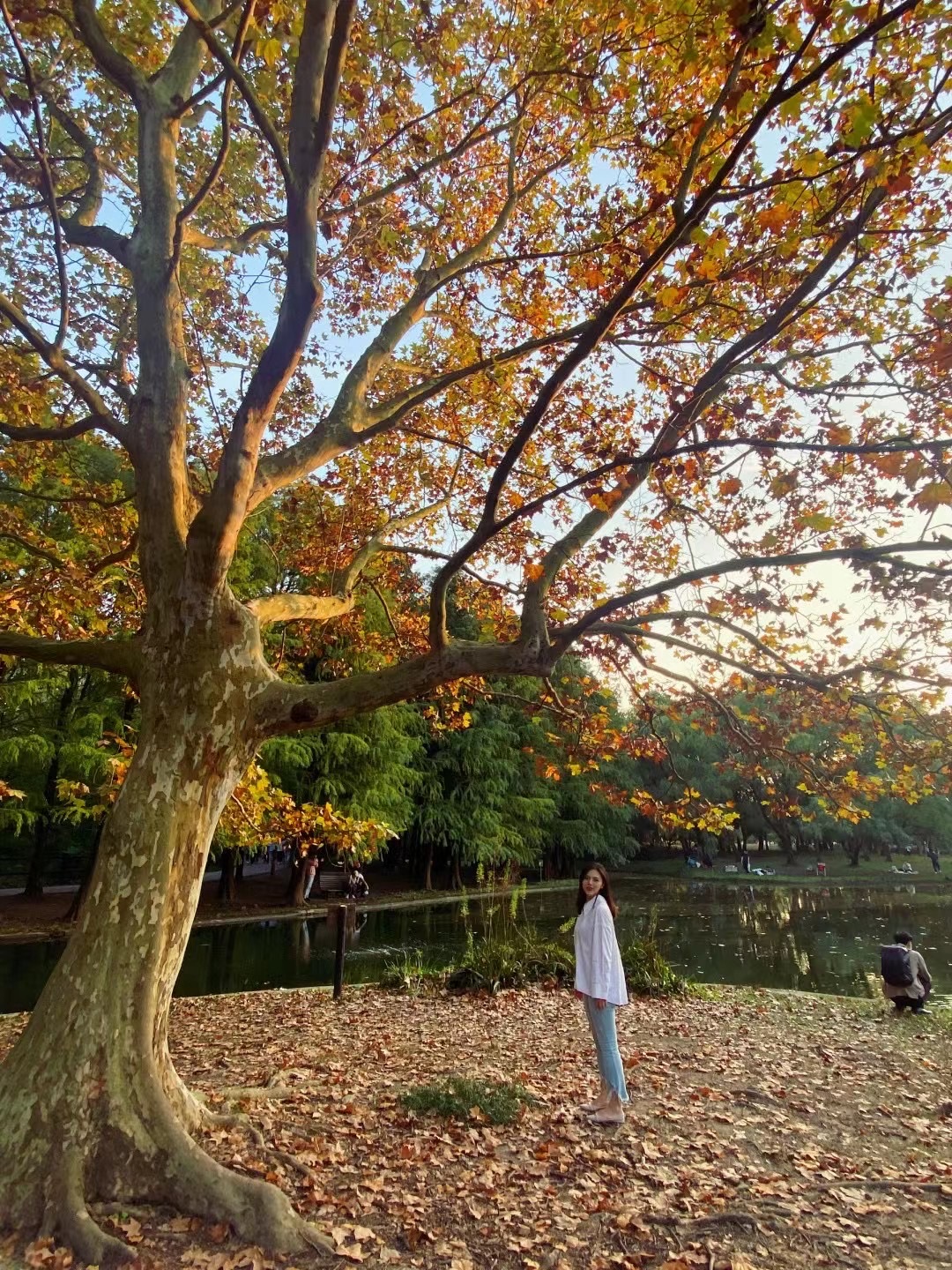 在出租我的房子_1