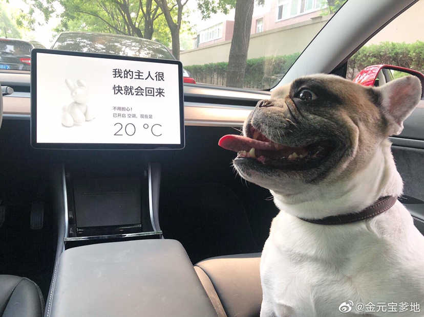 发现Wellcee真是玩乐啥都行
_1