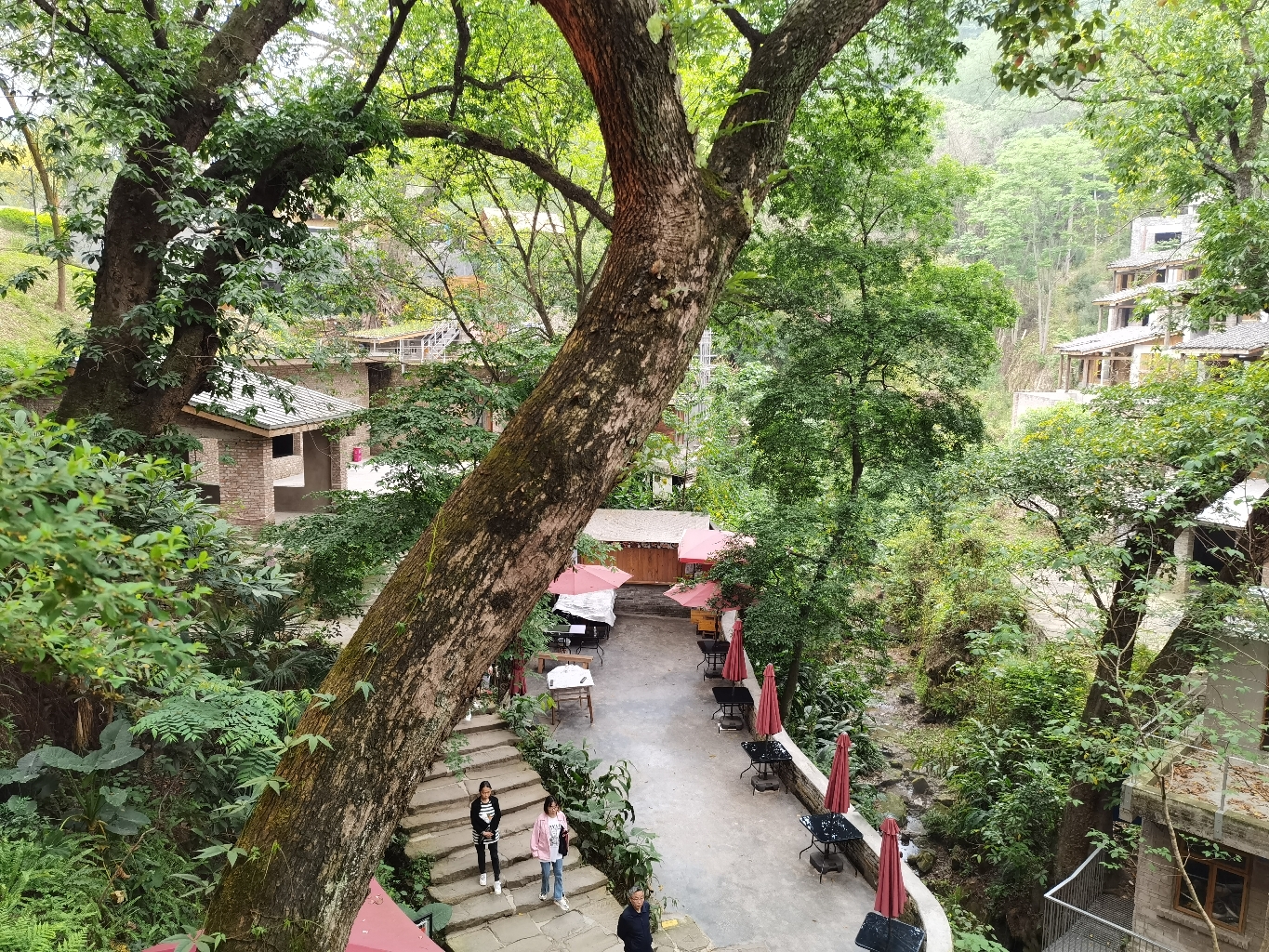  完美室友 静安区的室友来一起住呀～