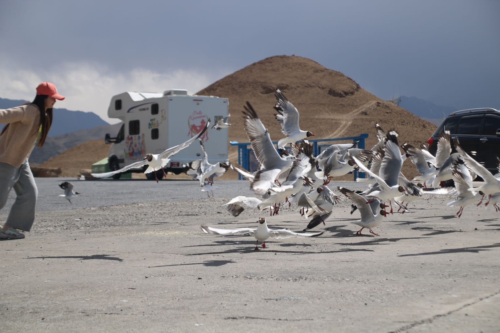 丽江到乌鲁木齐 房车自驾 计划在云南玩几_0