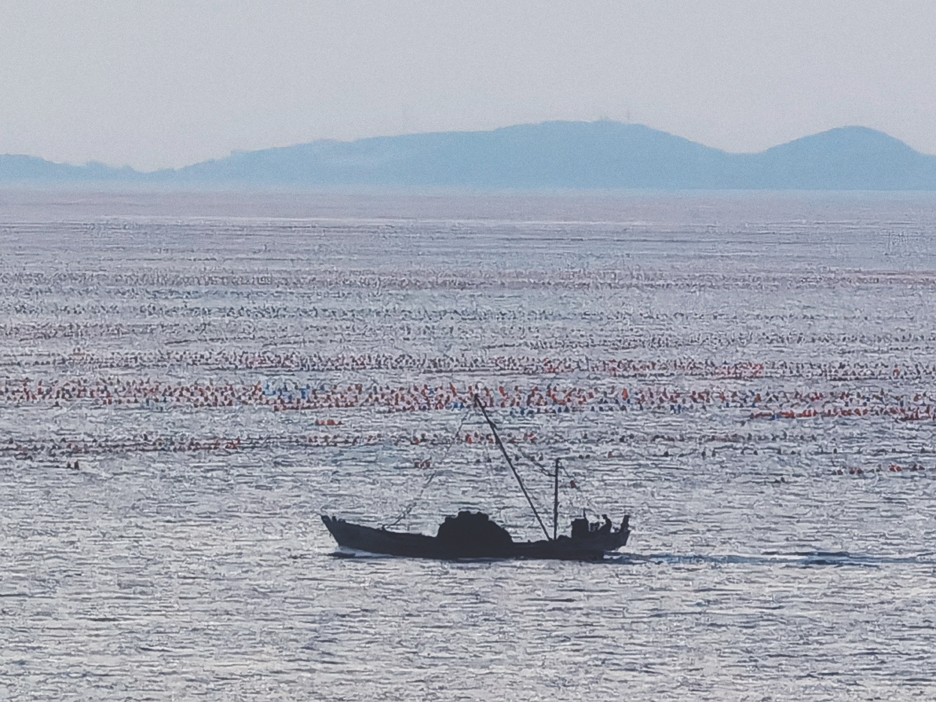🧡海上日落了，我们回家吧_0