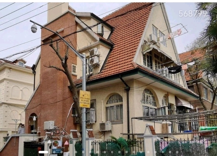 梧桐树下，海派风情，老上海，烟火气