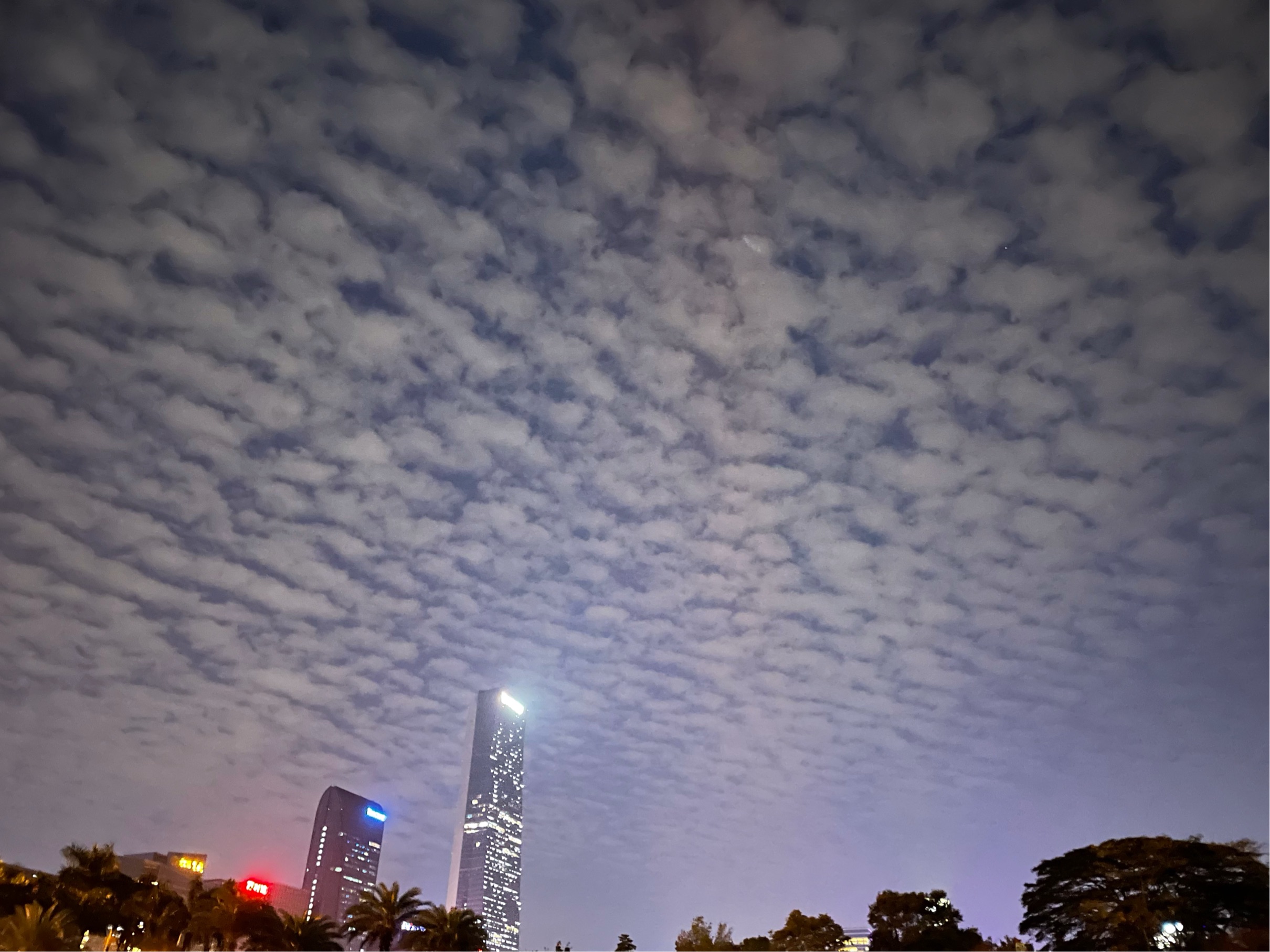 Shenzhen Nanshan | 1号线桃园_1