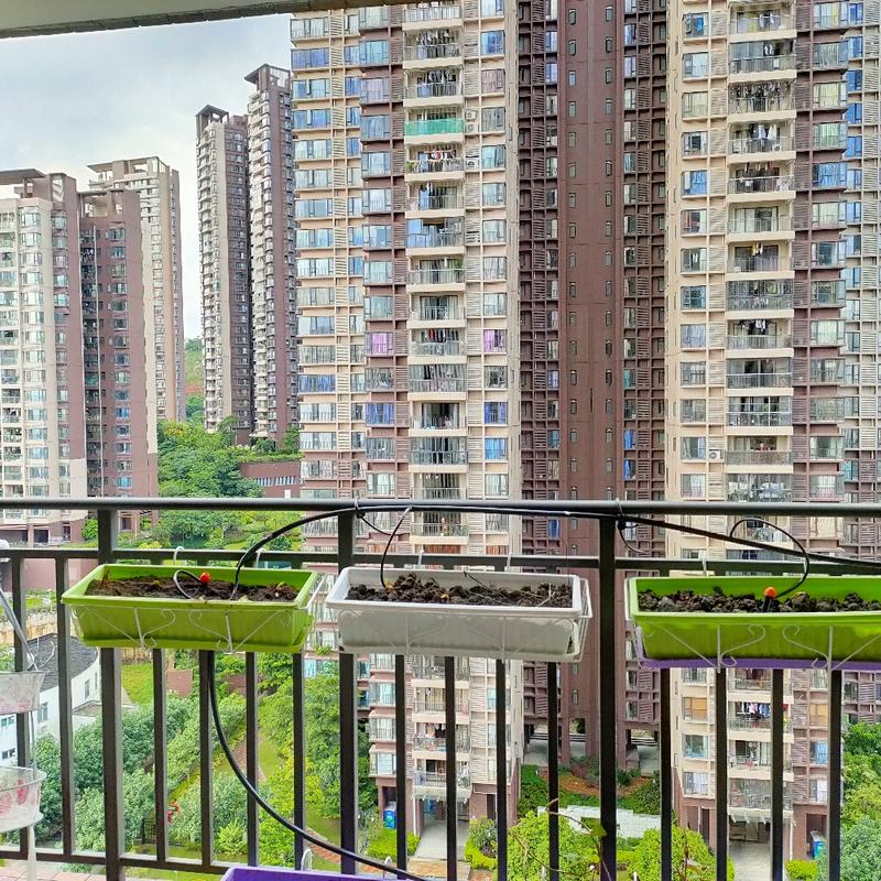 Guangzhou-Huangpu-Long & Short Term,Short Term,Seeking Flatmate,Shared Apartment,Single Apartment,LGBTQ Friendly,Pet Friendly