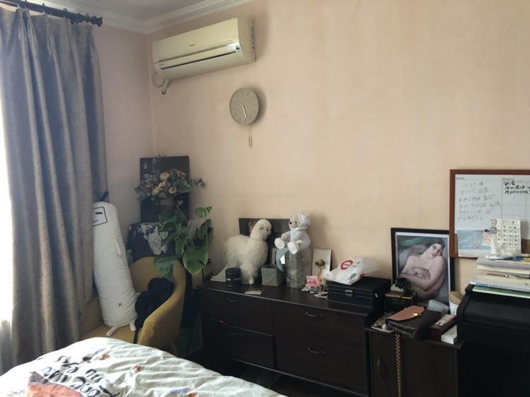 Beijing-Chaoyang-Line 6,Shared apartment,Pet Friendly