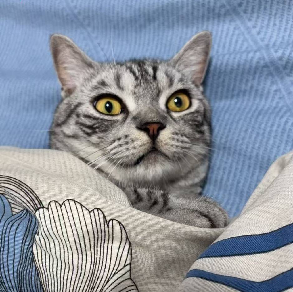 麦麦咔滋脆鸡腿堡