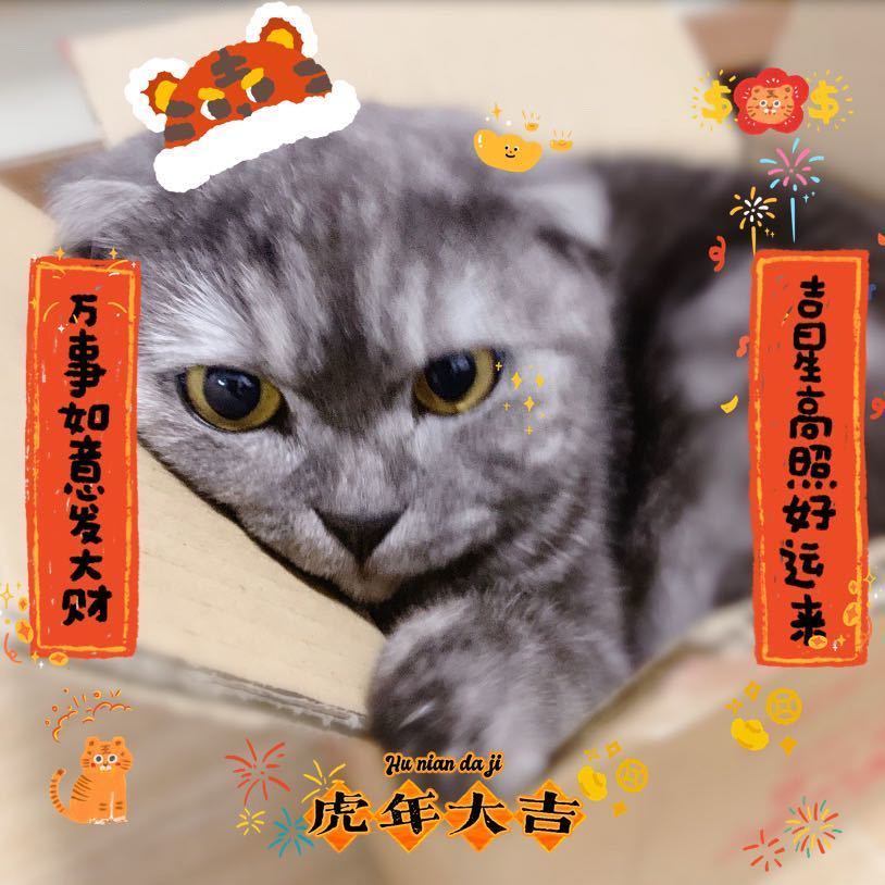 Zzzz ོོོོོ