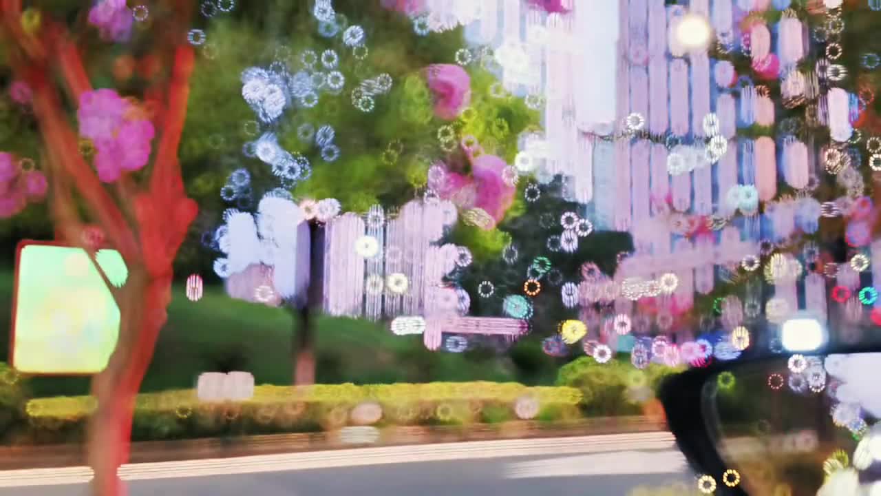 风停在窗边，嘱咐我要热爱这个世界。