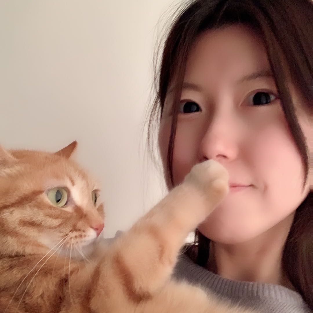 👑🌙一刀🐰🐱