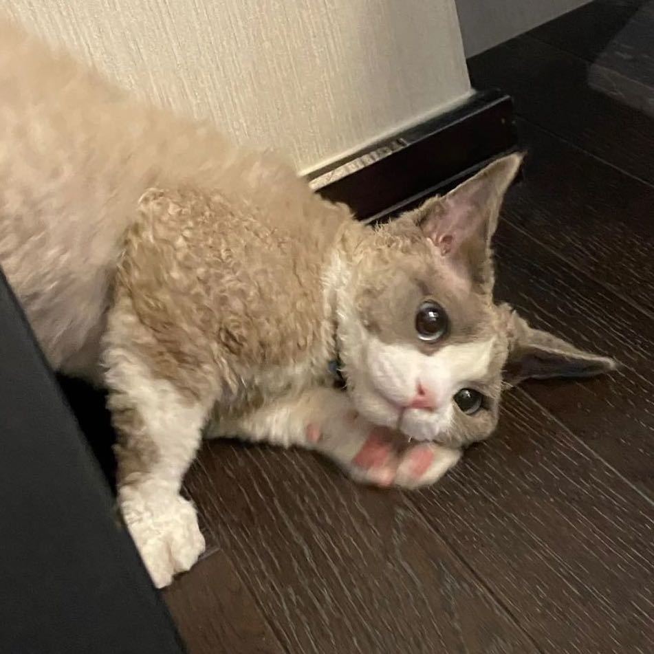 o.