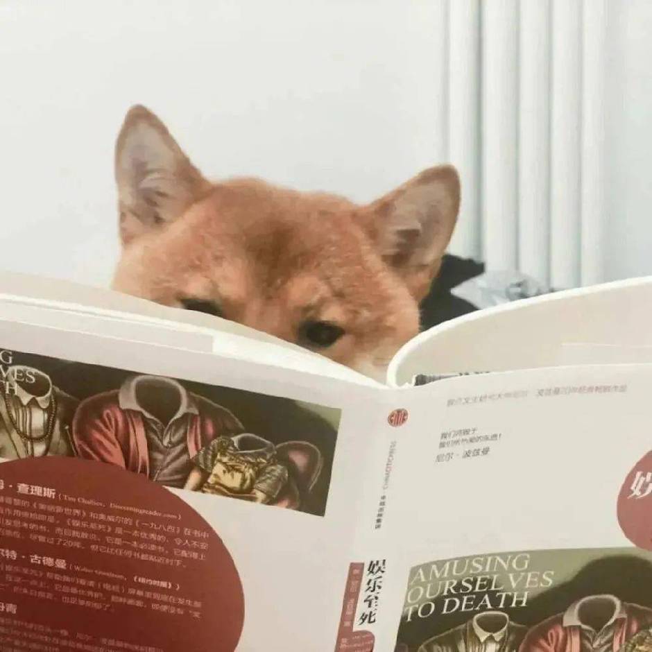 马驹桥转租