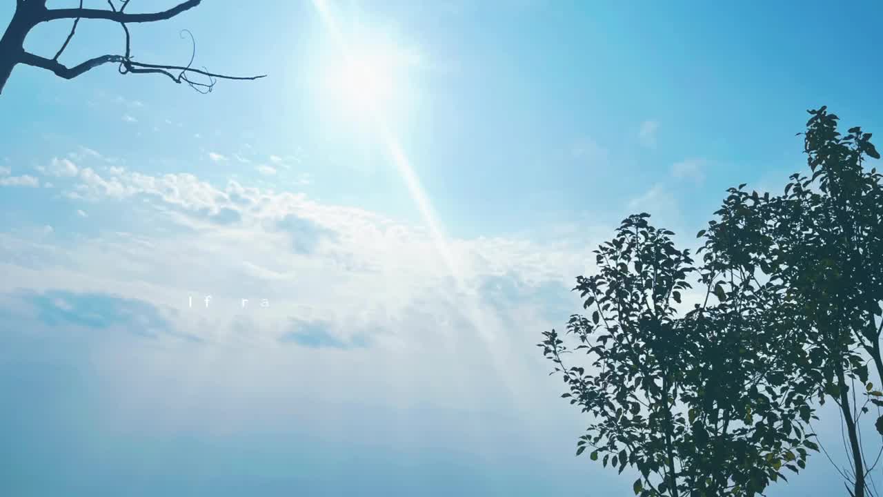 山不见我，我自去见山