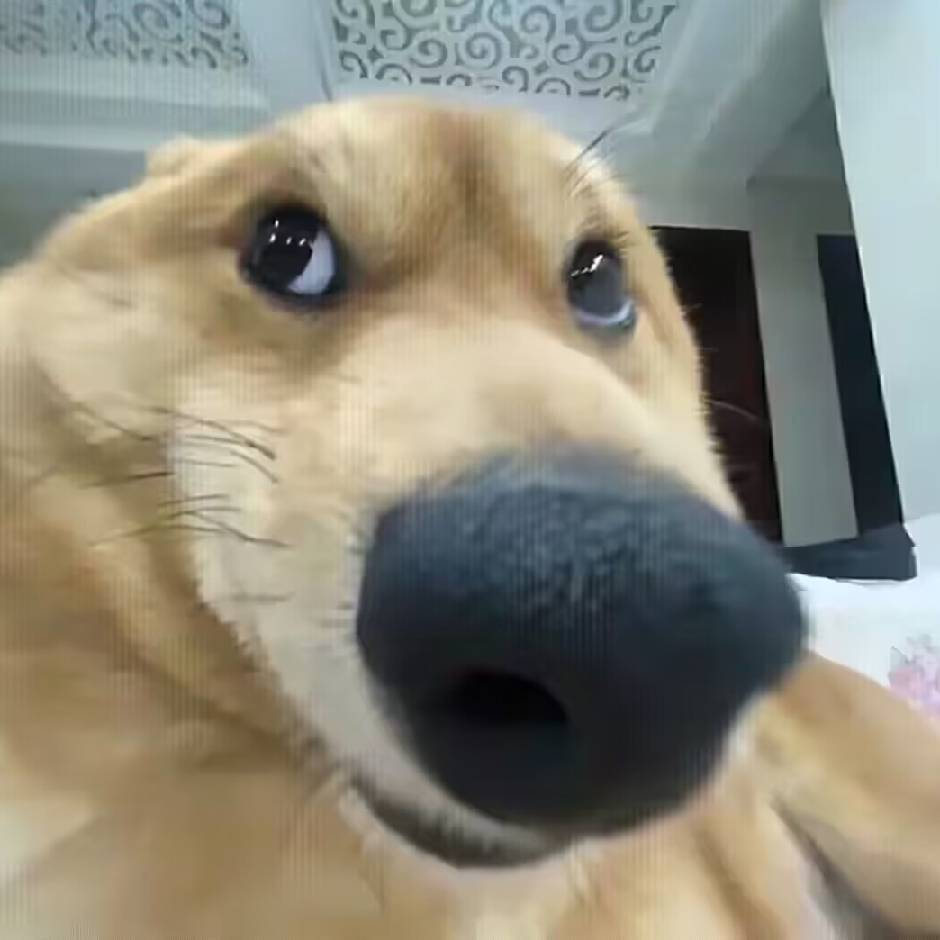 嘟嘟噜