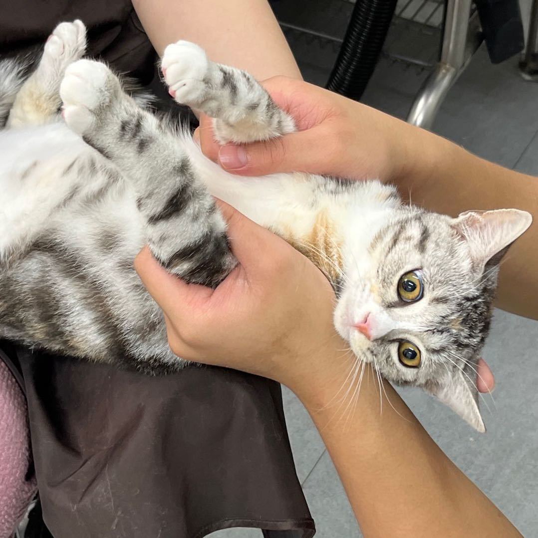 skk房东首次出租