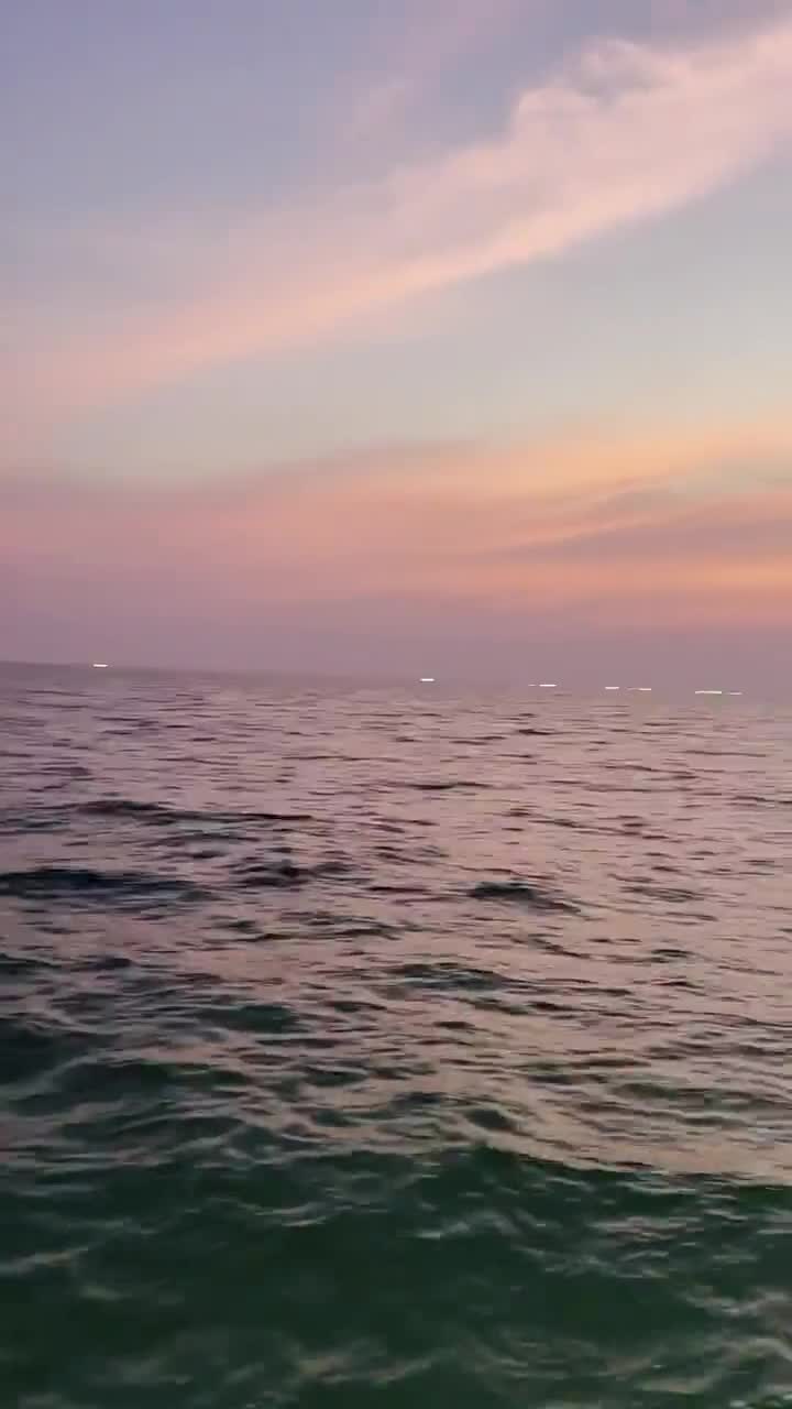 晚霞可采擷 乌贼🦑难寻求