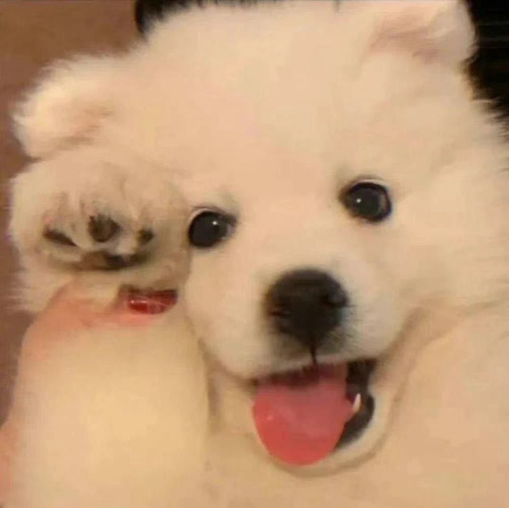 房子转租