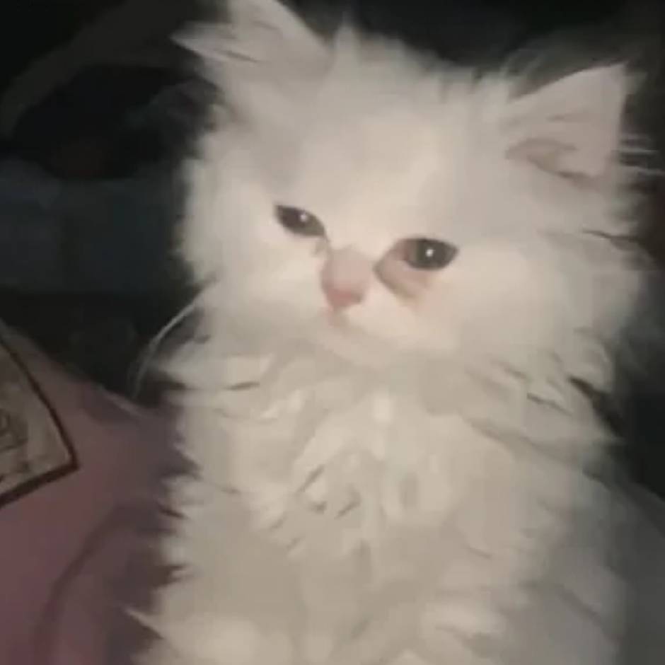 睡