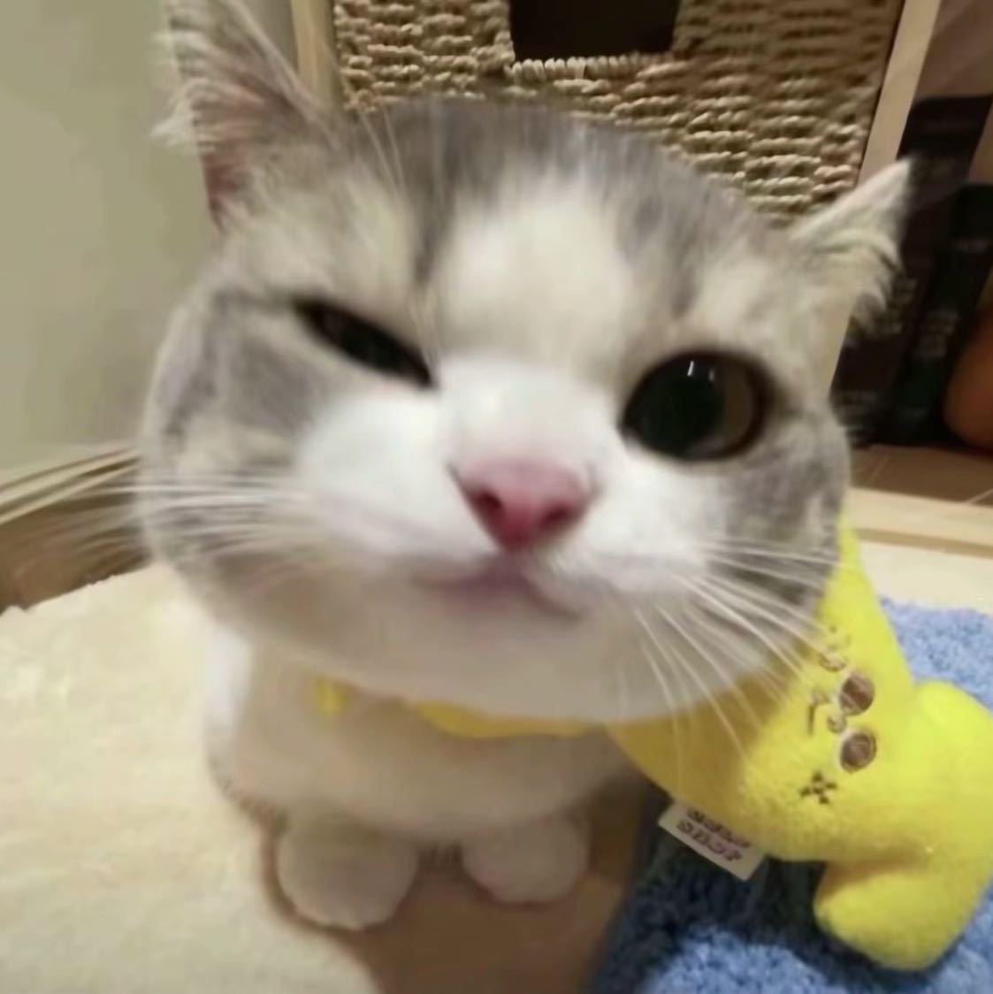 '.ㅅ'