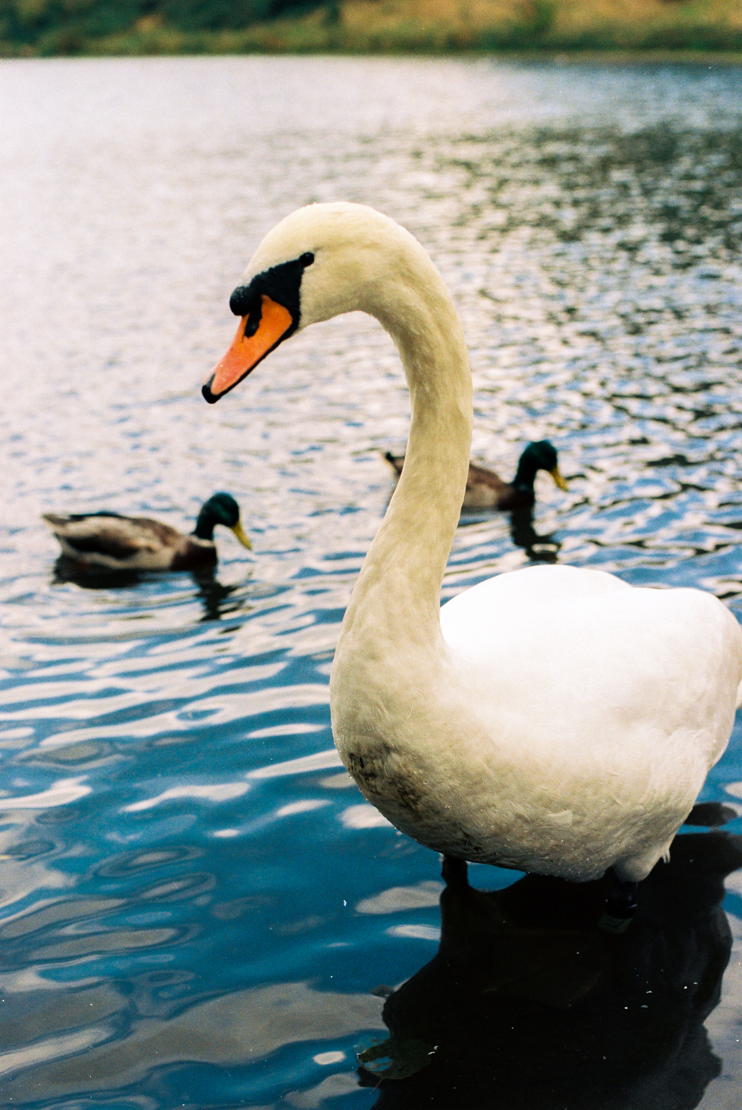life_photo_2