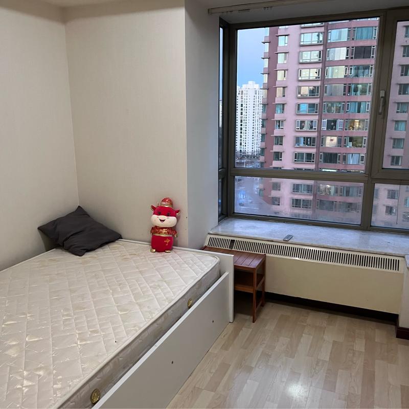 Beijing-Chaoyang-🏠,2 Bedrooms,Whole apartment,Pet Friendly,LGBTQ Friendly,Long & Short Term