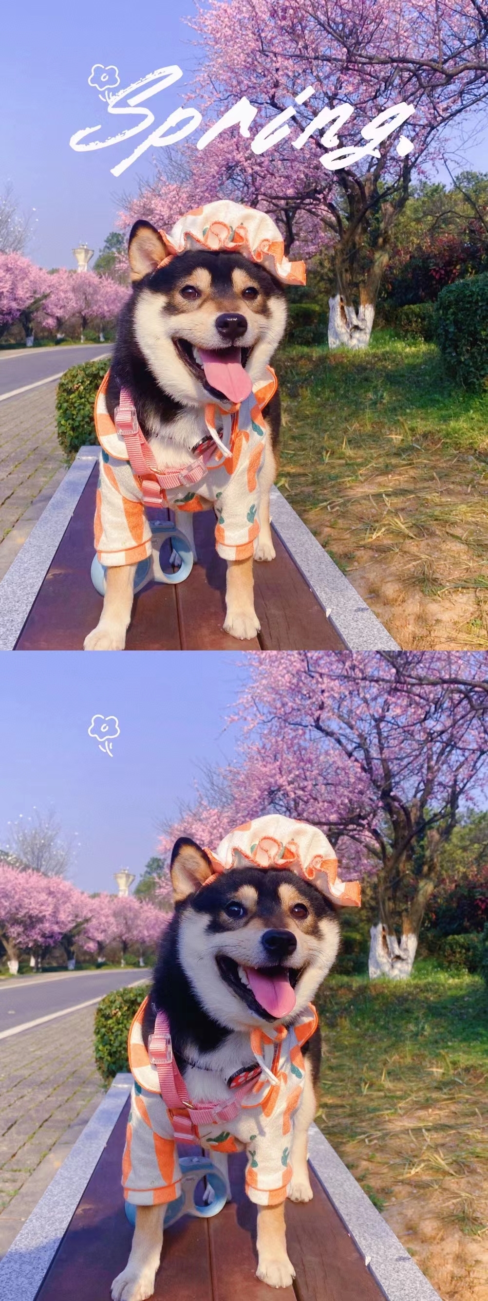伦家明明是男孩子5555 Storie_1