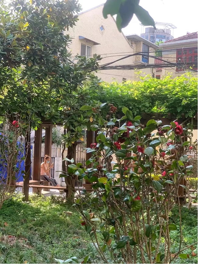 上海 徐汇 | 乌中小区_4