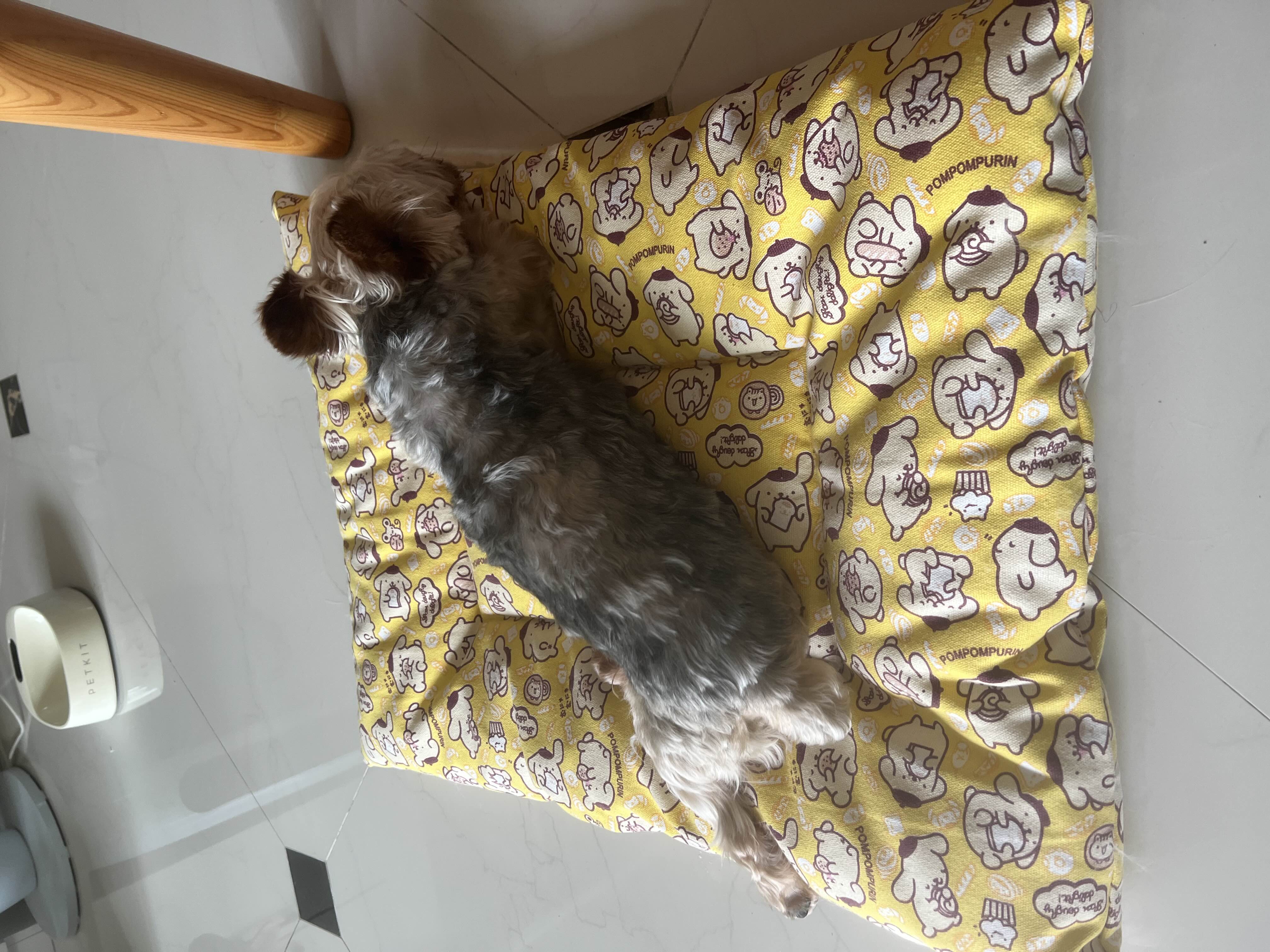 家庭寄养 小小床搭子_2