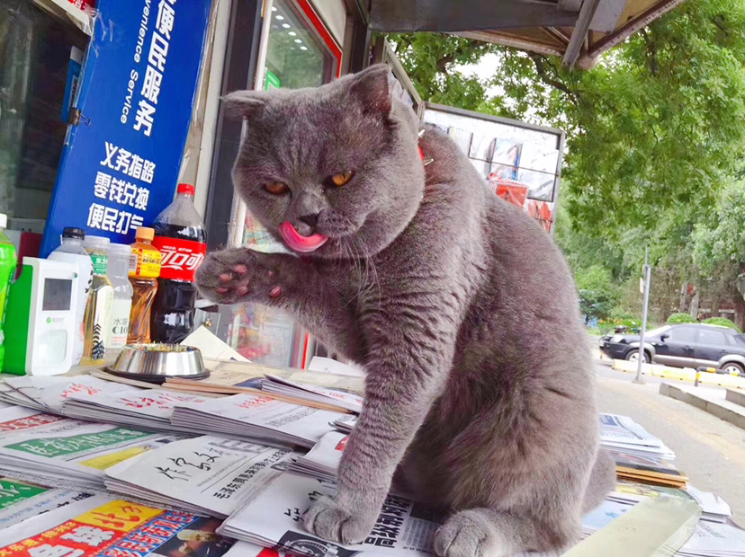 开心的杂酱面 Happy Mix Noodles_3