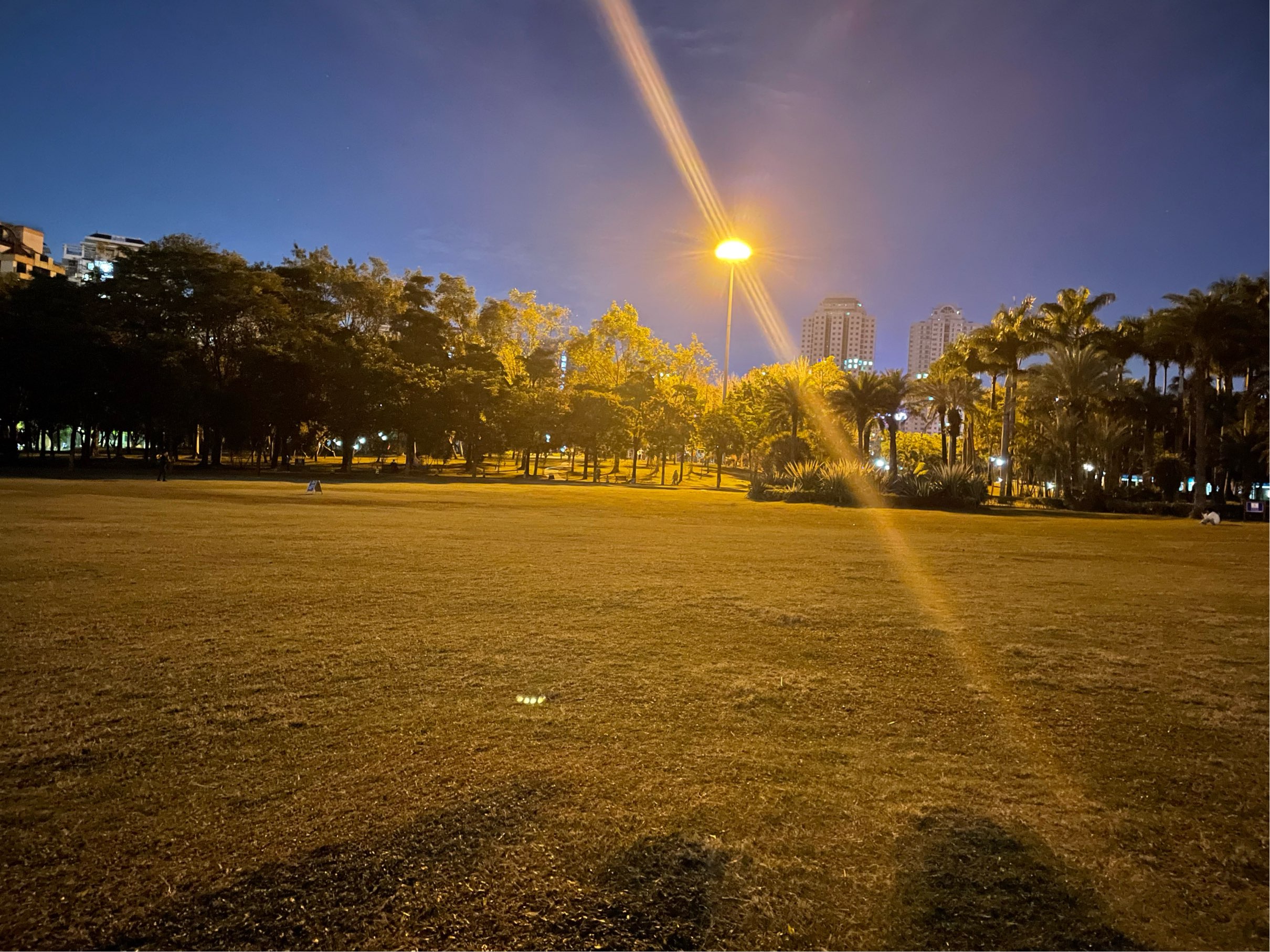 Shenzhen Nanshan | 1号线桃园_2