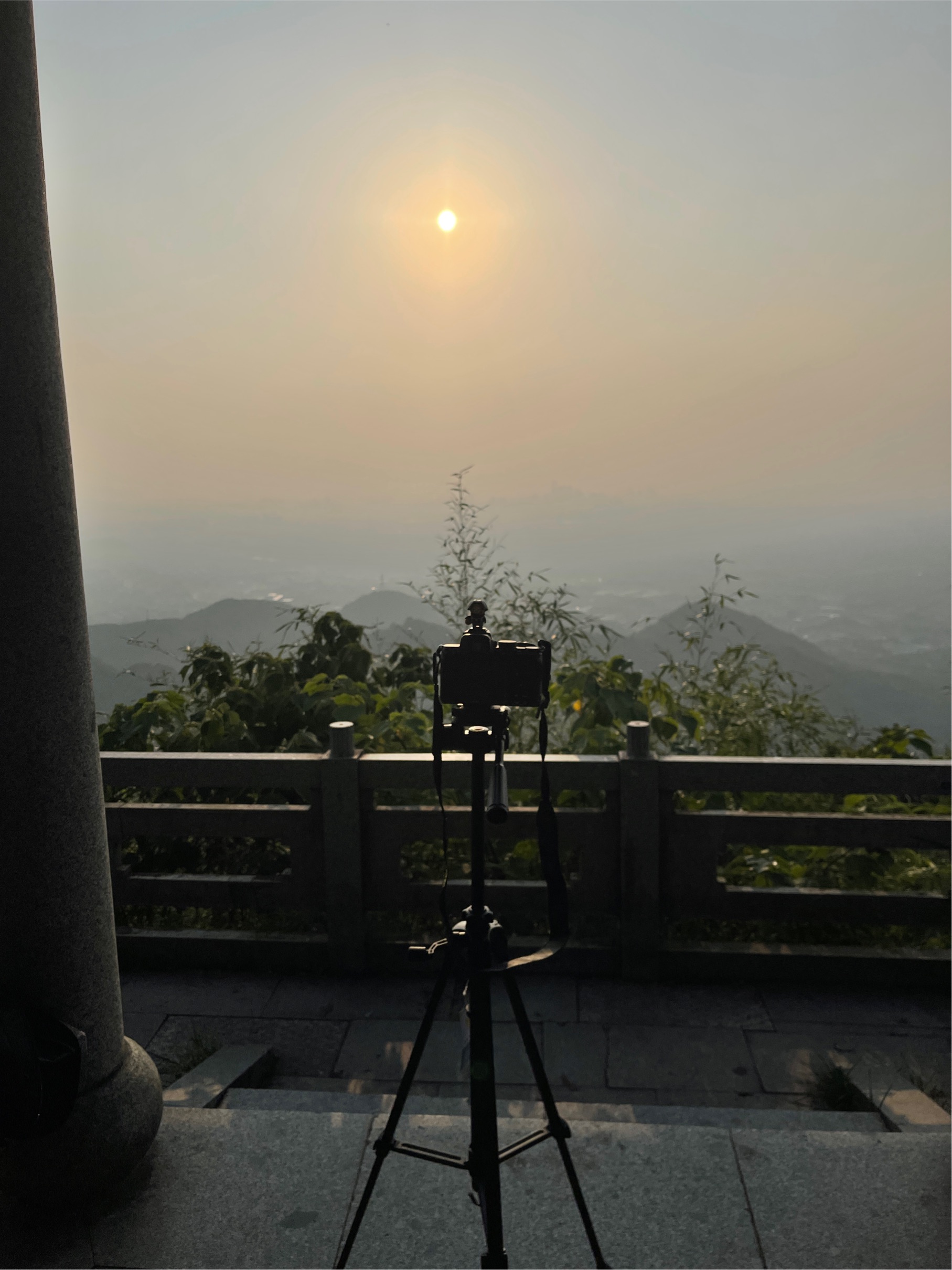 FreeFly整租房源3