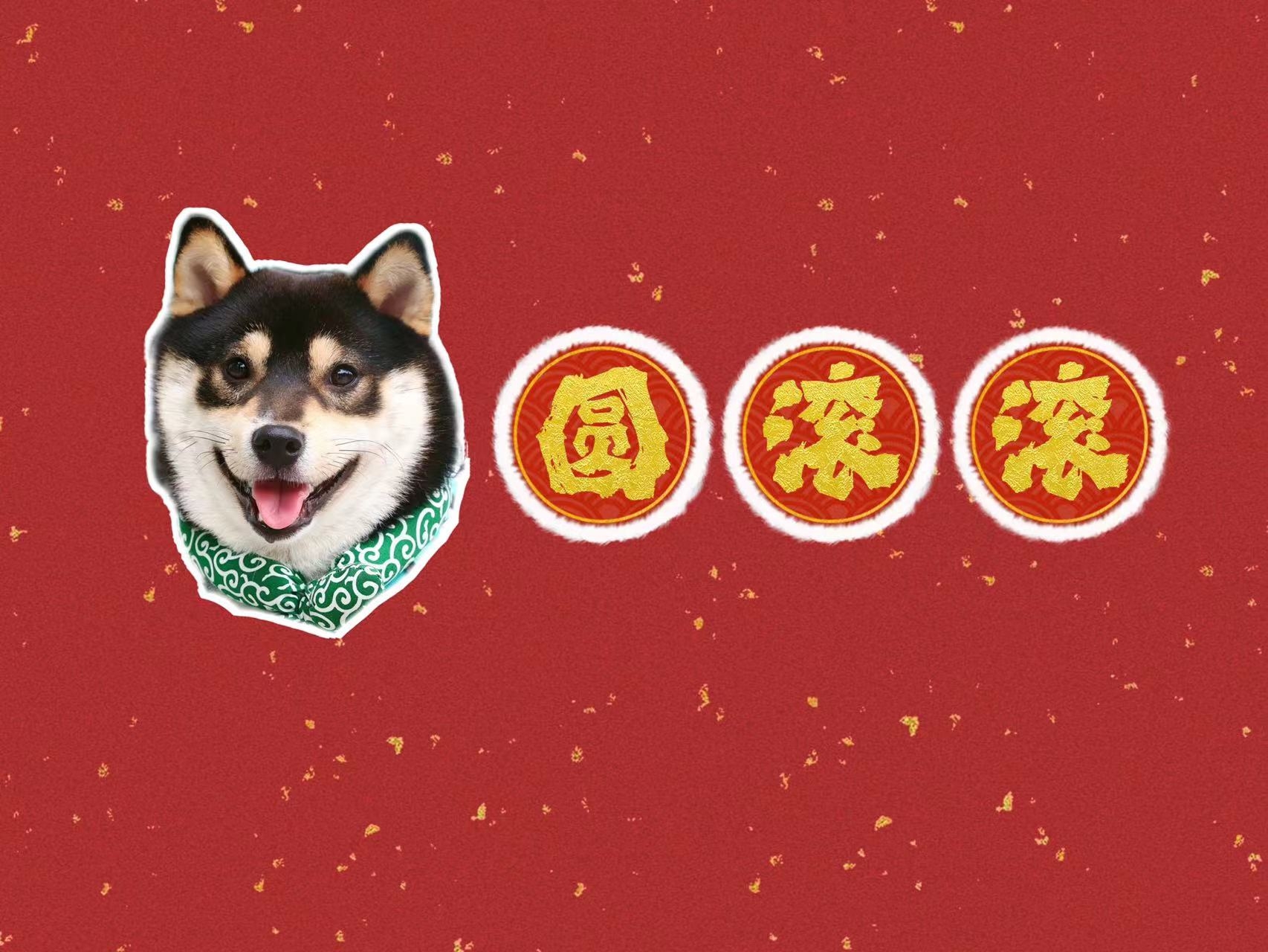 新年快乐 Roommate  Soc_1