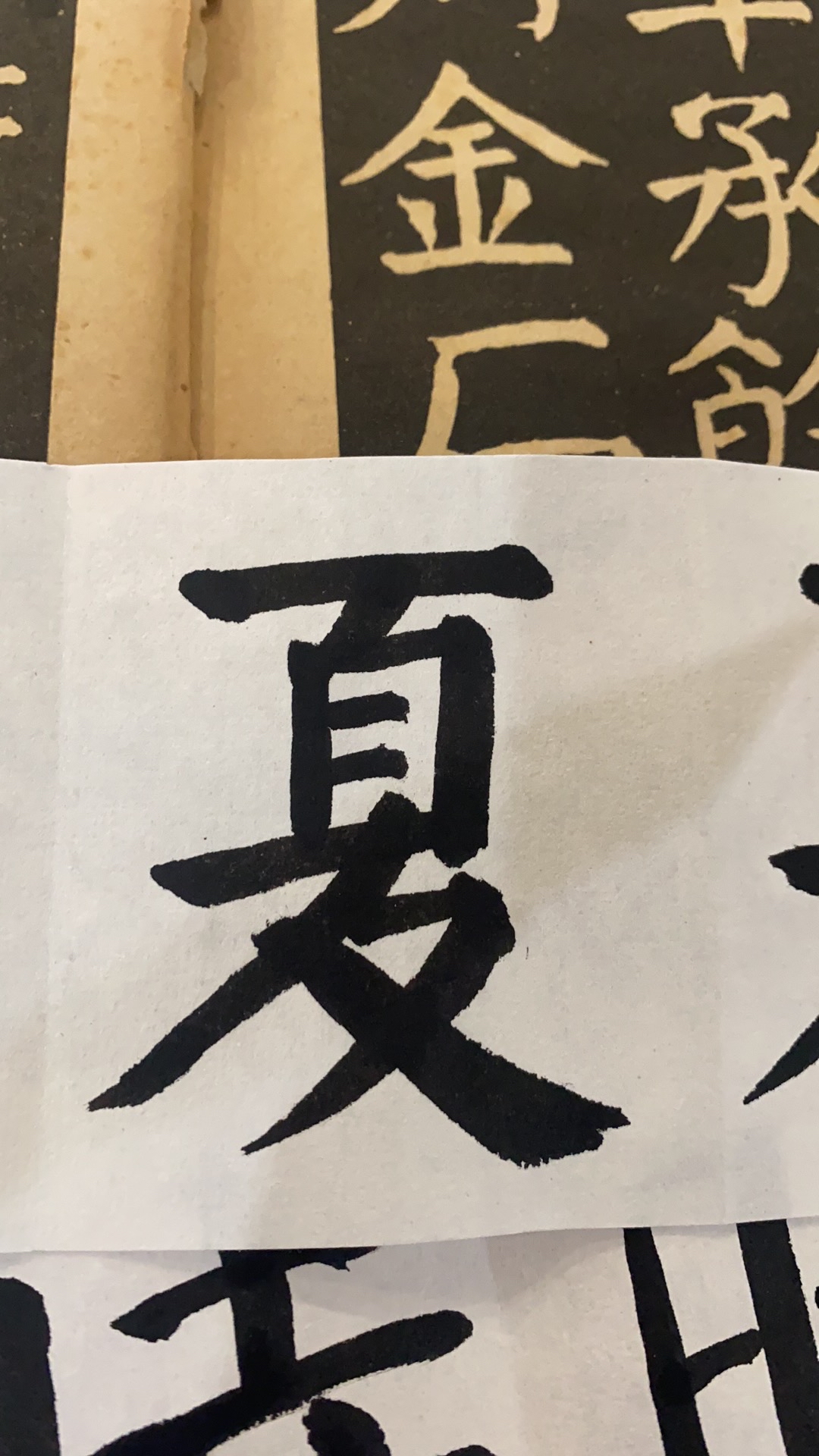 立夏｜夏天要来了