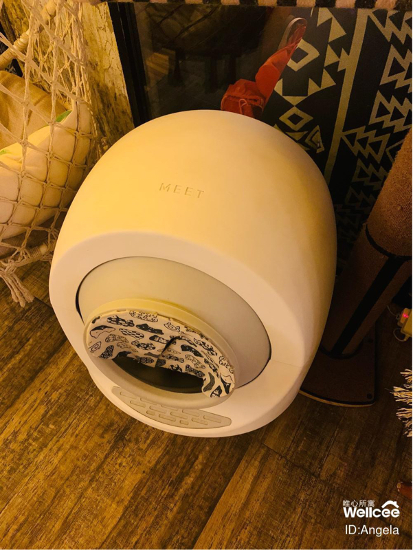 搬家转让全自动智能猫砂盆+链接手机app管理_2