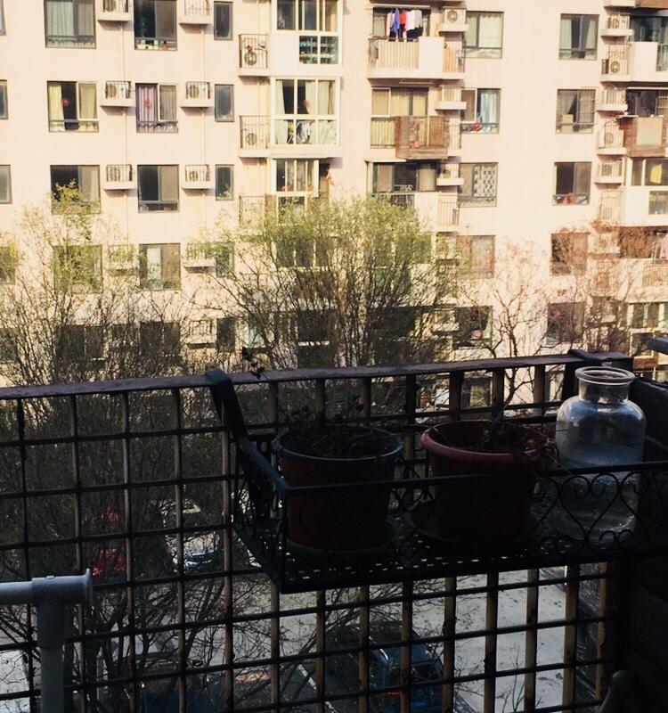北京-朝陽-獨立公寓,長&短租