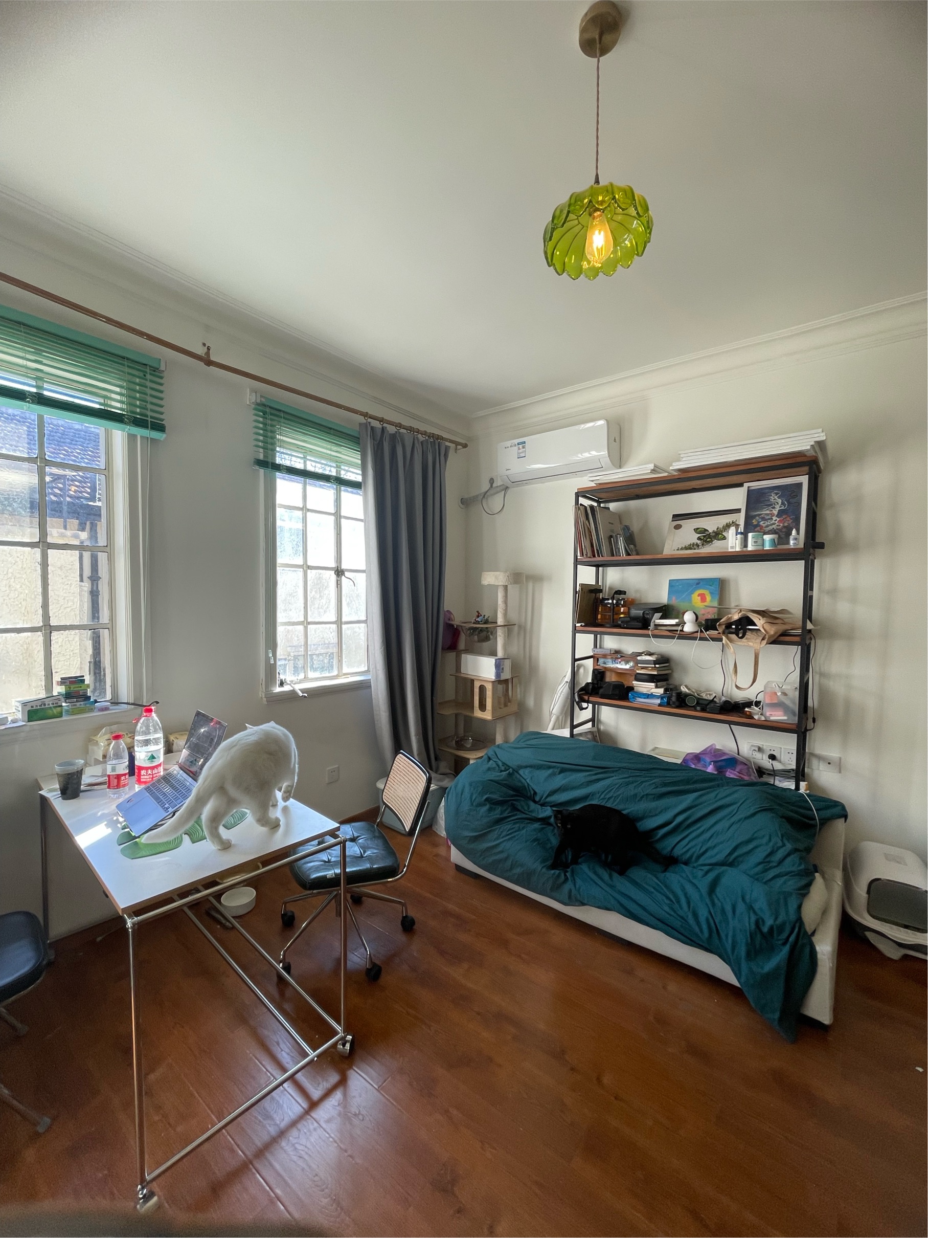 Shanghai-Huangpu-Cozy Home,Clean&Comfy,No Gender Limit,Hustle & Bustle,“Friends”,Chilled,LGBTQ Friendly