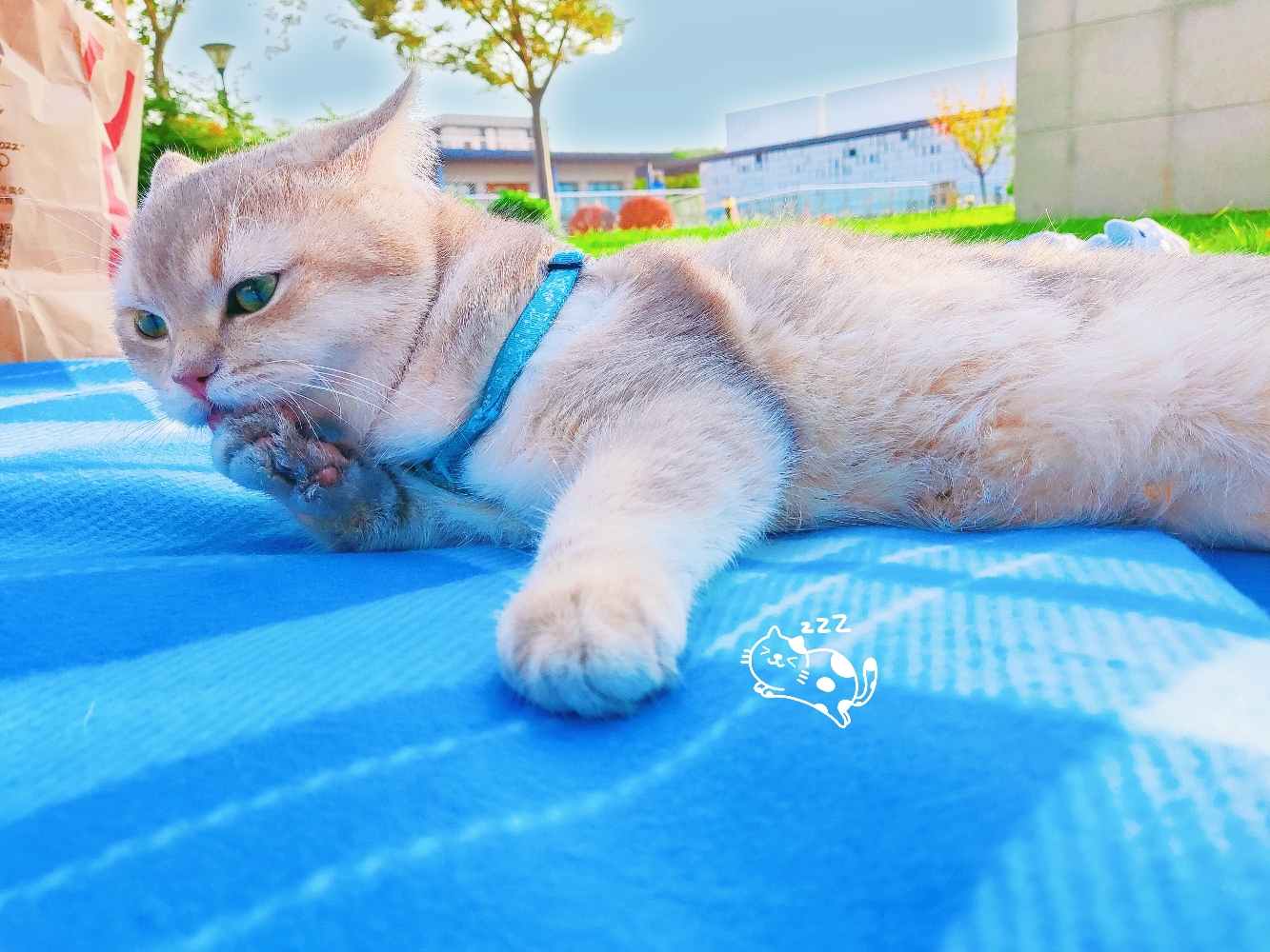 招亲（家里的是弟弟）_1