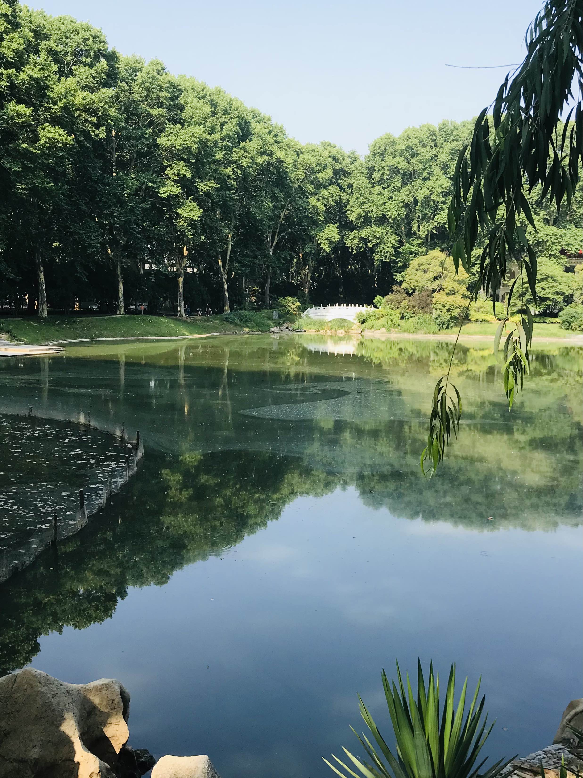 酷熱的夏天裡去哪裡？_2