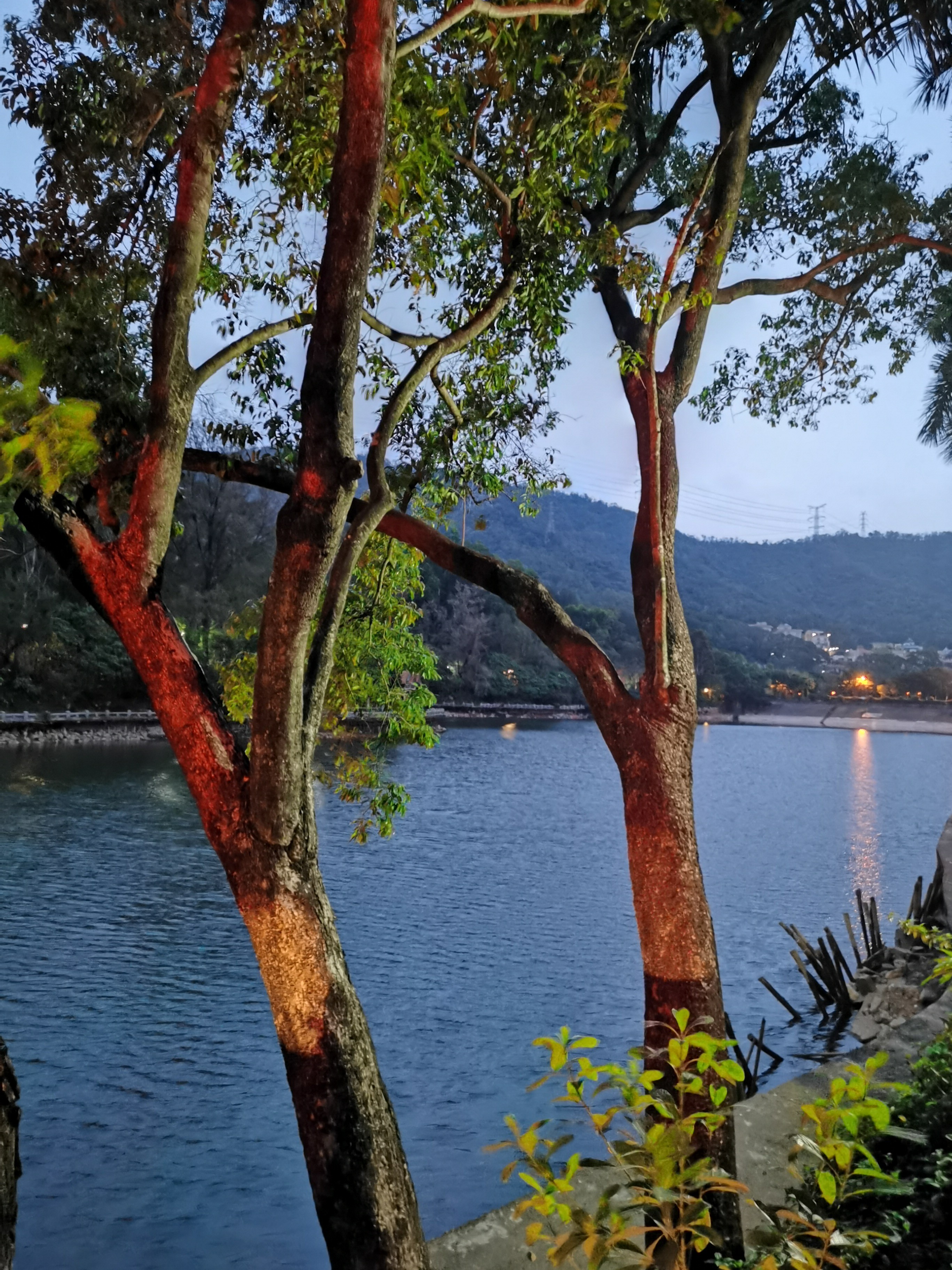 银湖水库_2