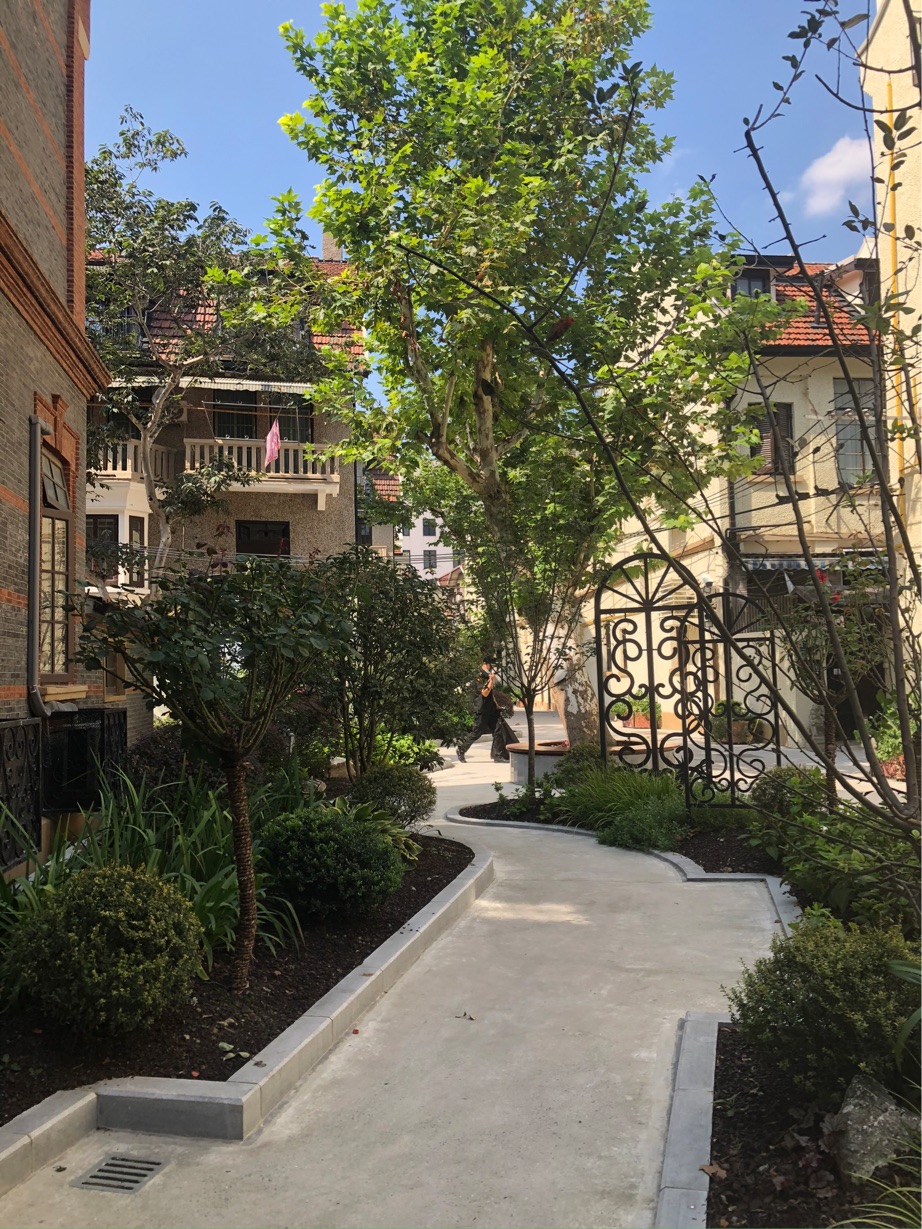 Shanghai-Huangpu-Cozy Home,Clean&Comfy,No Gender Limit,Hustle & Bustle,“Friends”,Chilled,LGBTQ Friendly,Pet Friendly