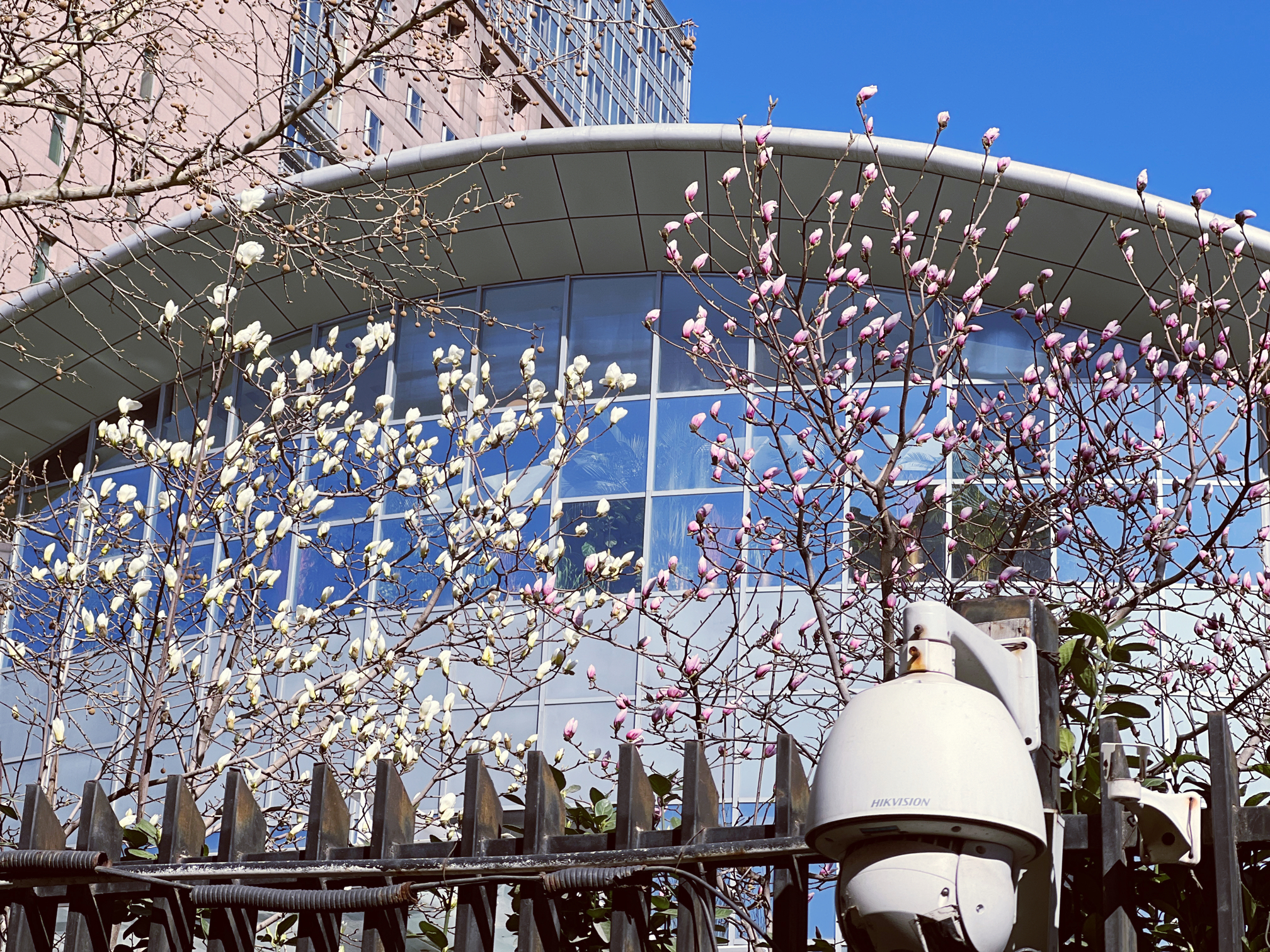 住在河边的福利～_2