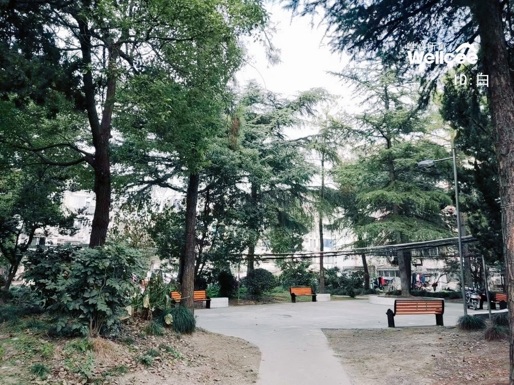 Shanghai-Yangpu-Cozy Home,Clean&Comfy,Chilled