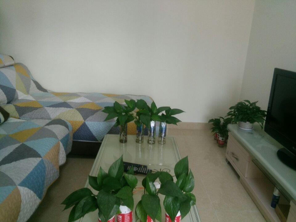 Chengdu-JinJiang-Cozy Home